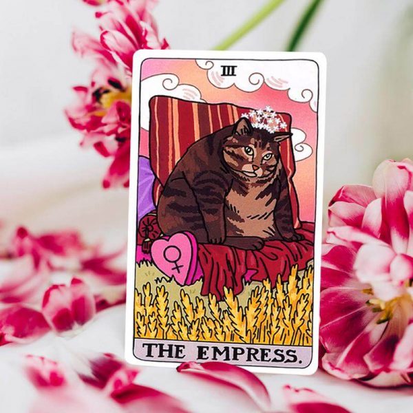 Jeu de tarot original "cat mémé tarot" – Image 4
